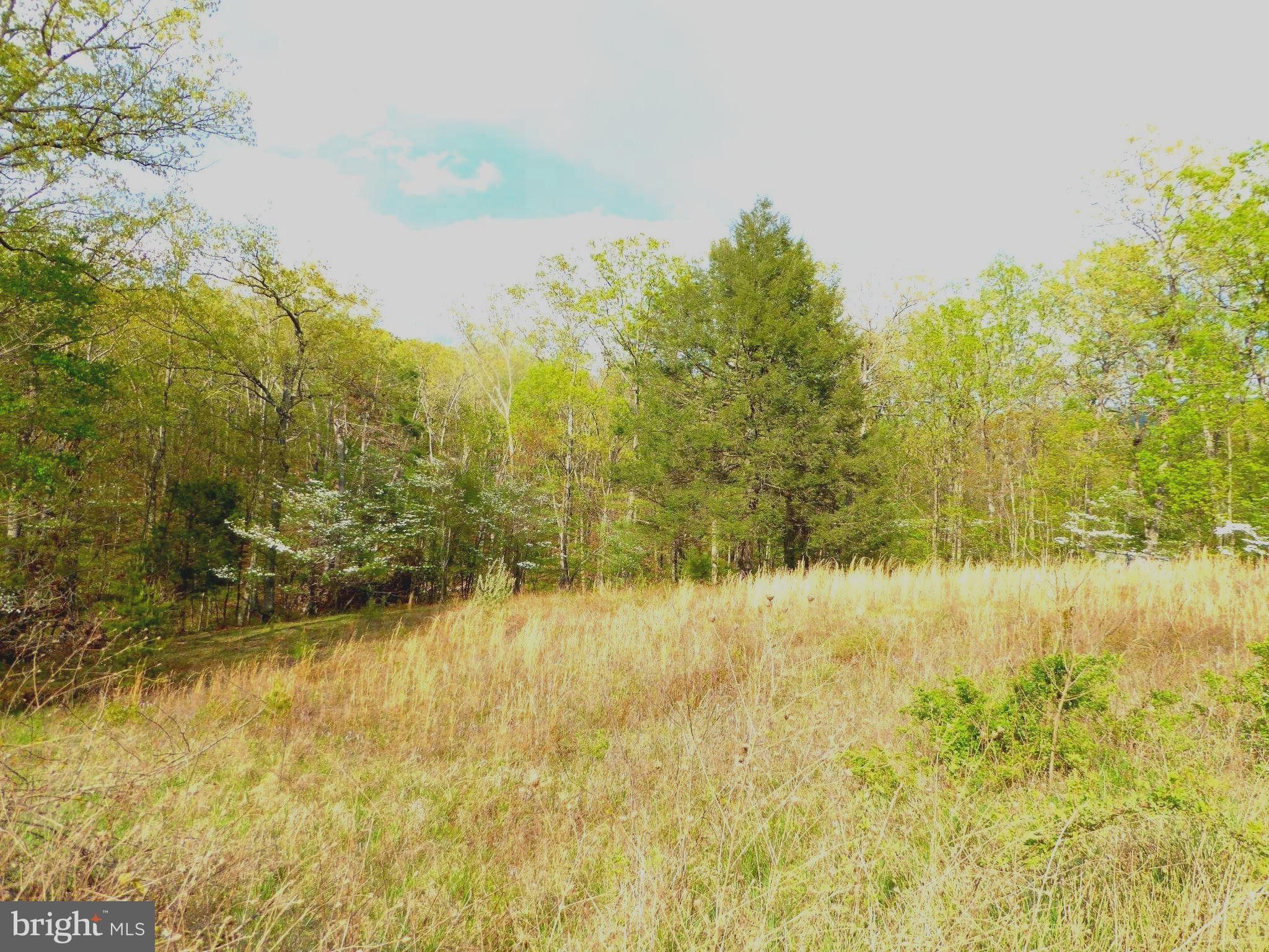 Delray, Hampshire County, WV Farms and Ranches for sale Property ID