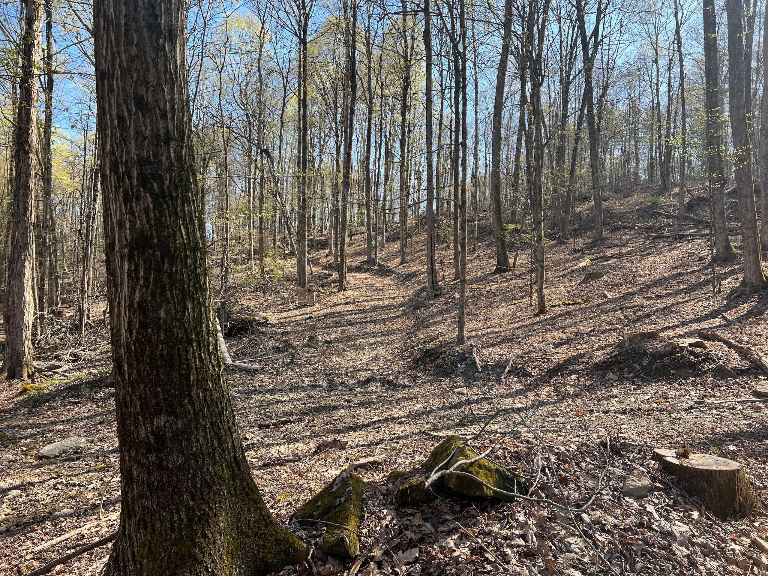 00 Newton Rd, LotWP001, Pittsfield, PA 16340 LandWatch