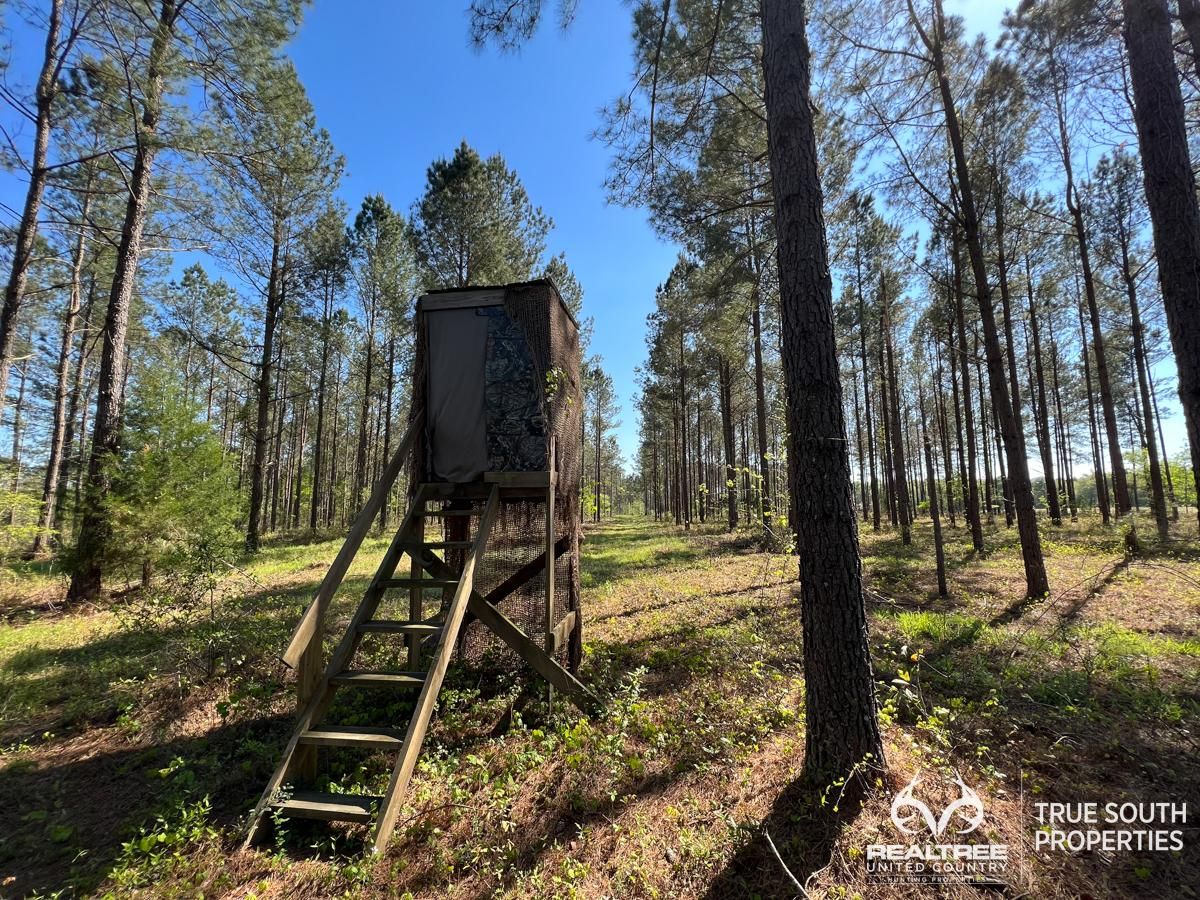 Bamberg, Bamberg County, SC Recreational Property, Timberland Property