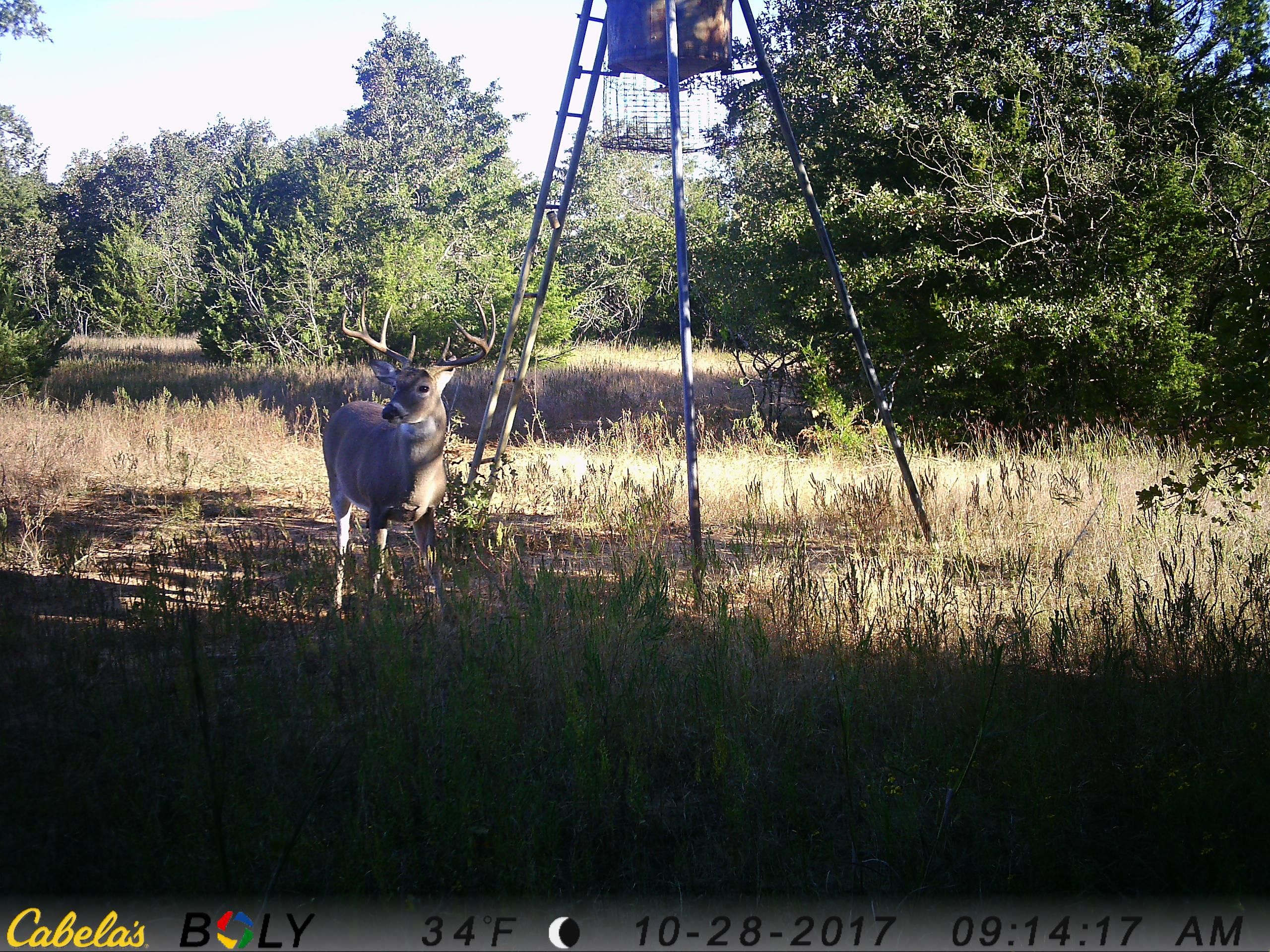 Kosse, Limestone County, TX Farms and Ranches, Recreational Property