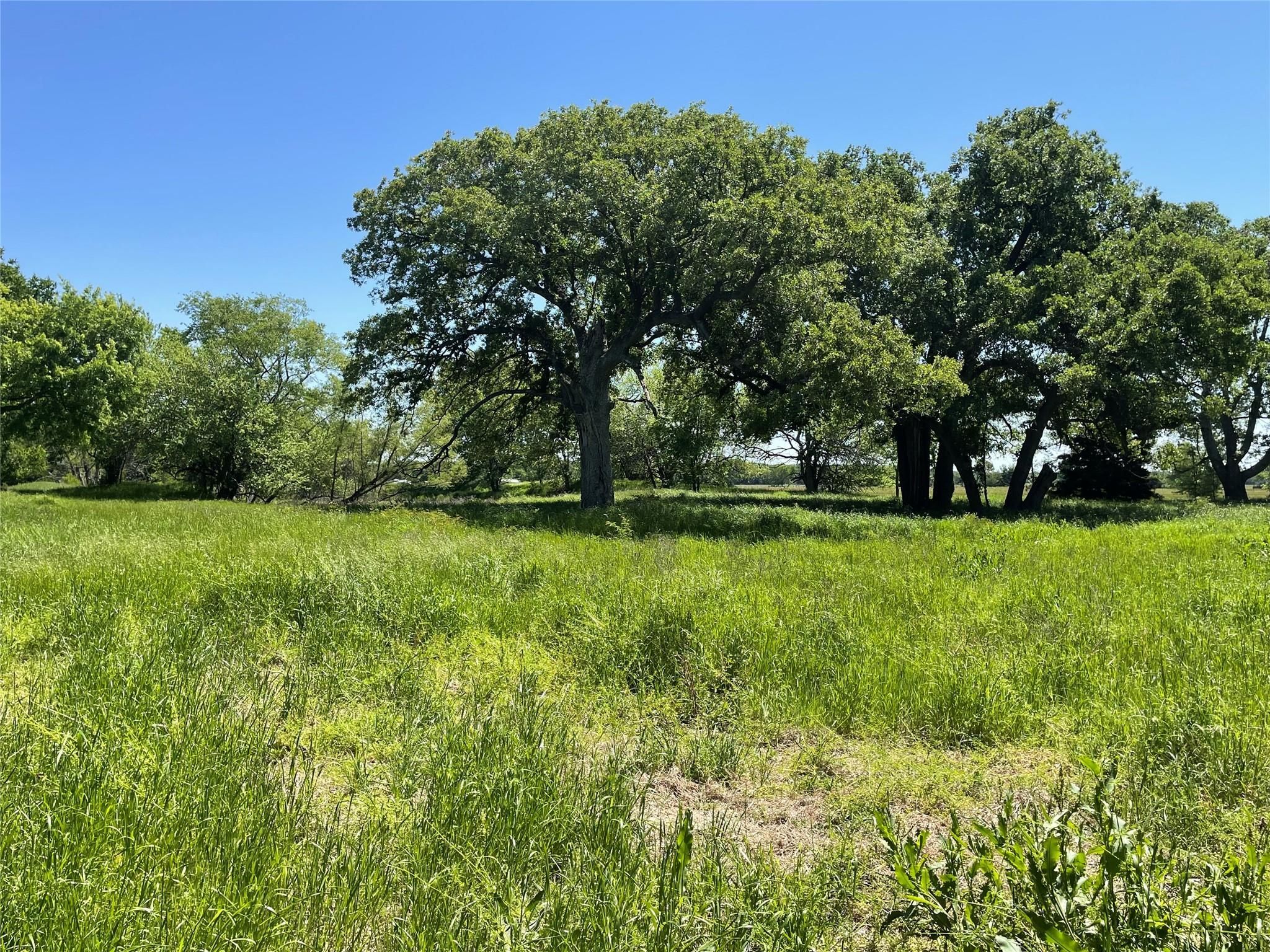 Sulphur Springs, Hopkins County, TX Recreational Property, Undeveloped
