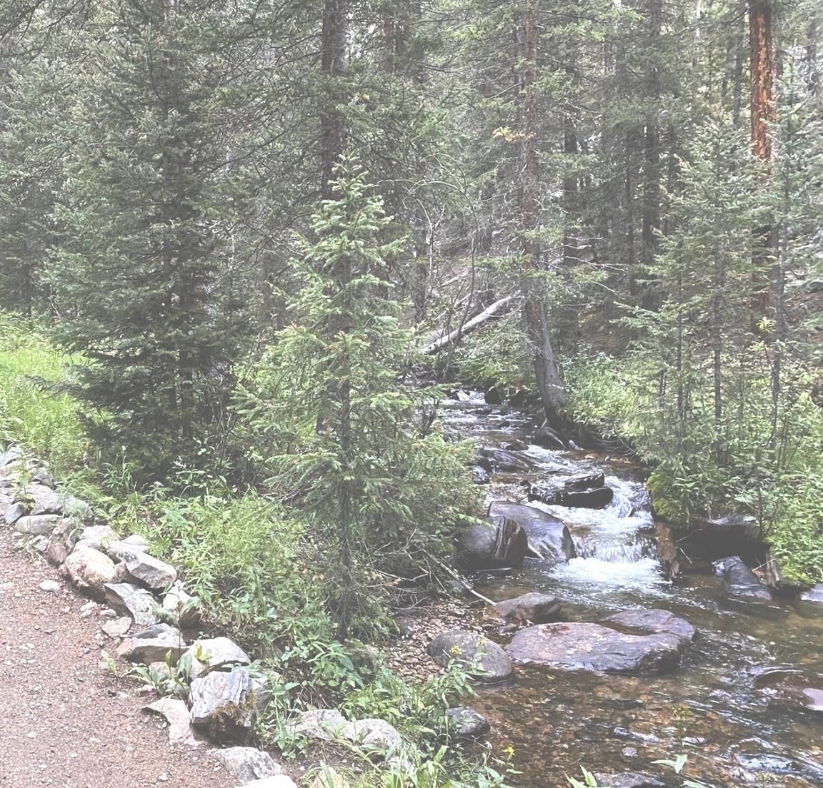 Jefferson, Park County, CO Recreational Property, Riverfront Property