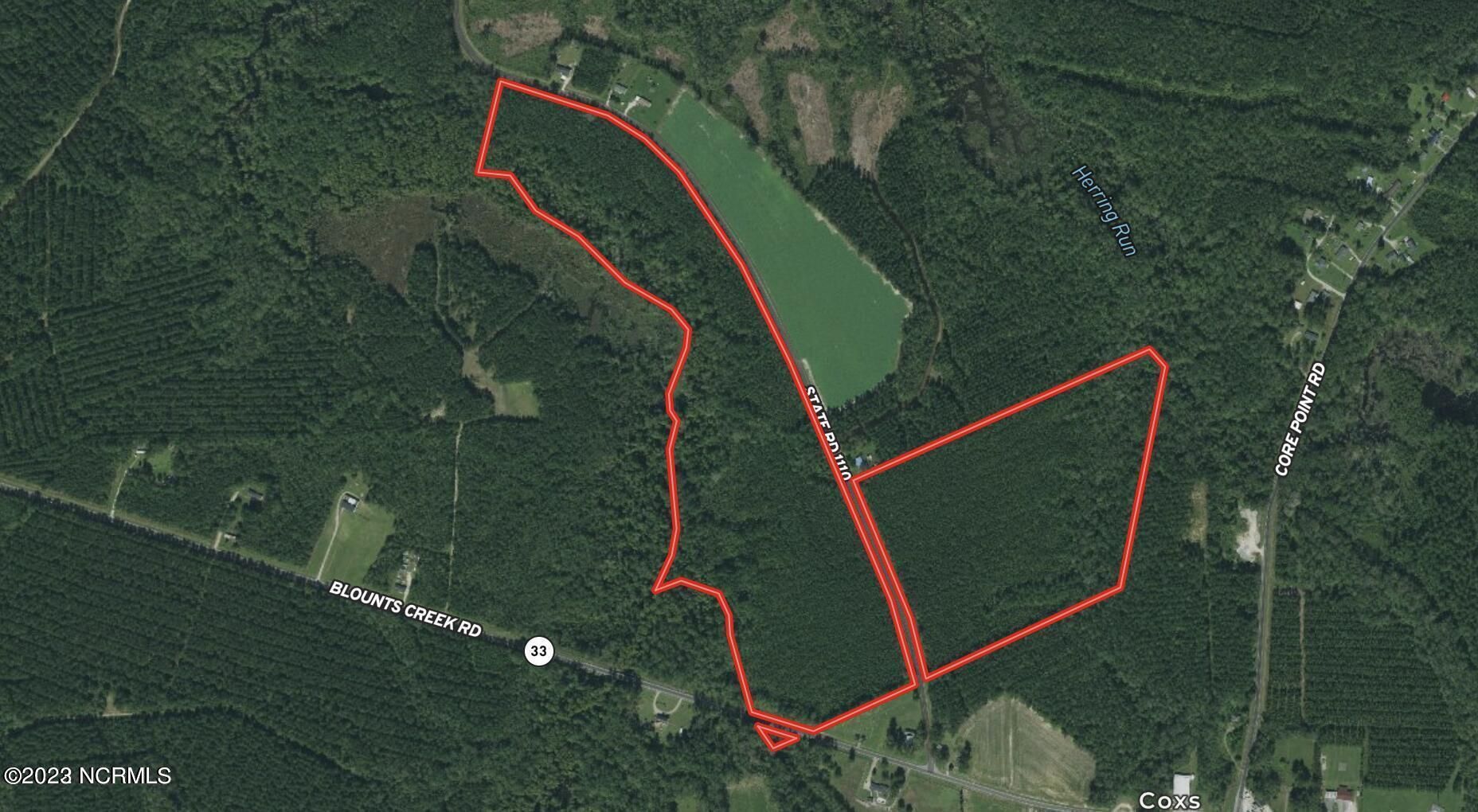 Blounts Creek, Beaufort County, NC Timberland Property, Hunting