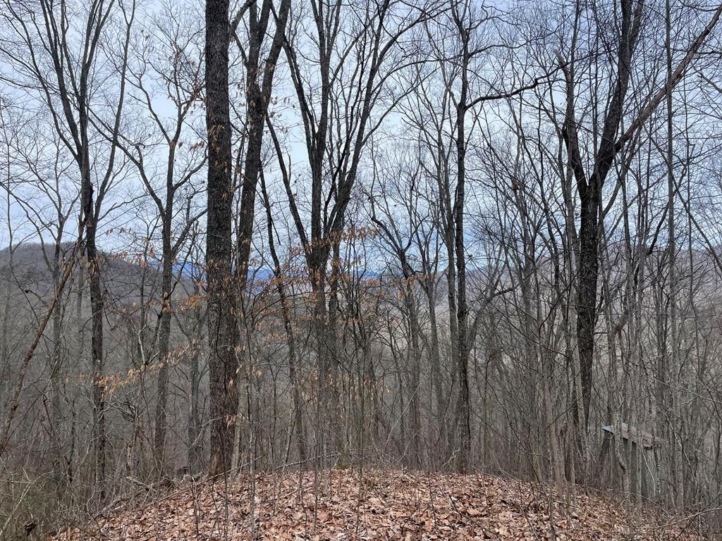 Bryson City, Swain County, NC Undeveloped Land for sale Property ID