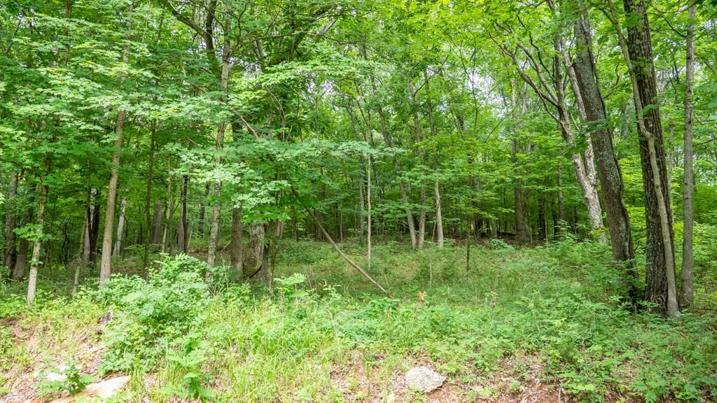 Barnhart, Jefferson County, MO Farms and Ranches, Hunting Property