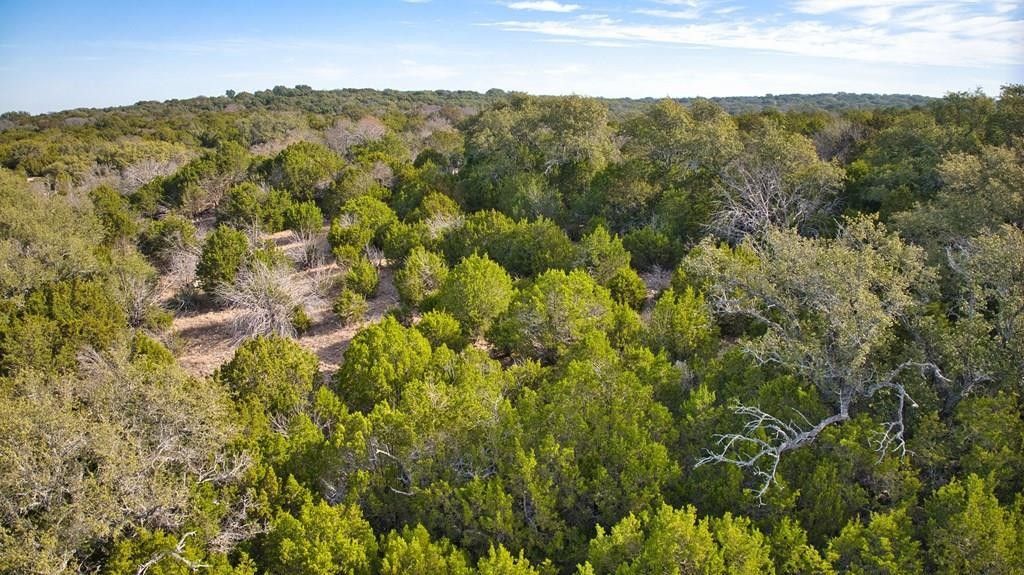 Mason, San Saba County, TX Farms and Ranches for sale Property ID