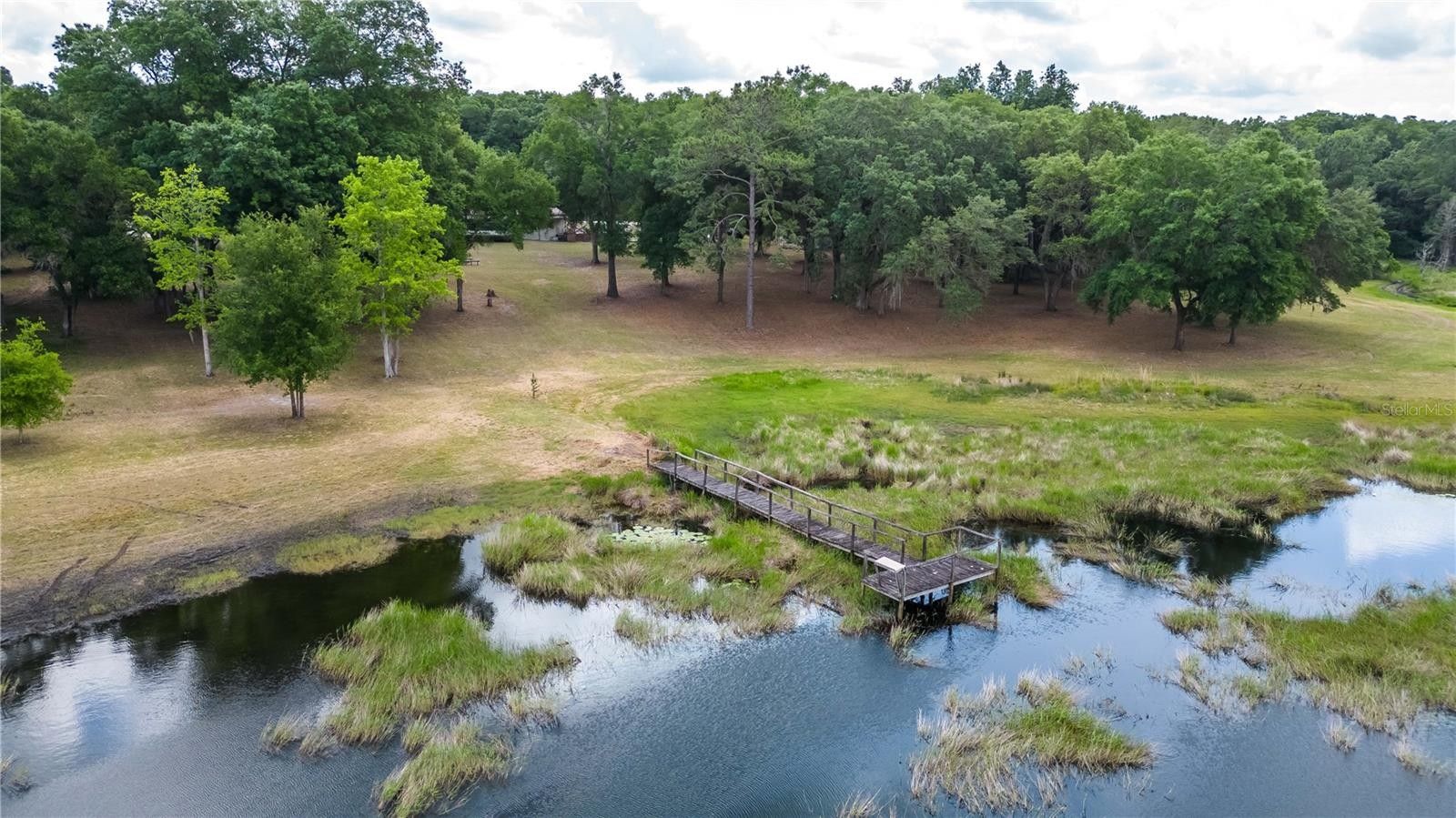 Ocklawaha, Marion County, FL Lakefront Property, Waterfront Property, House for sale Property ID