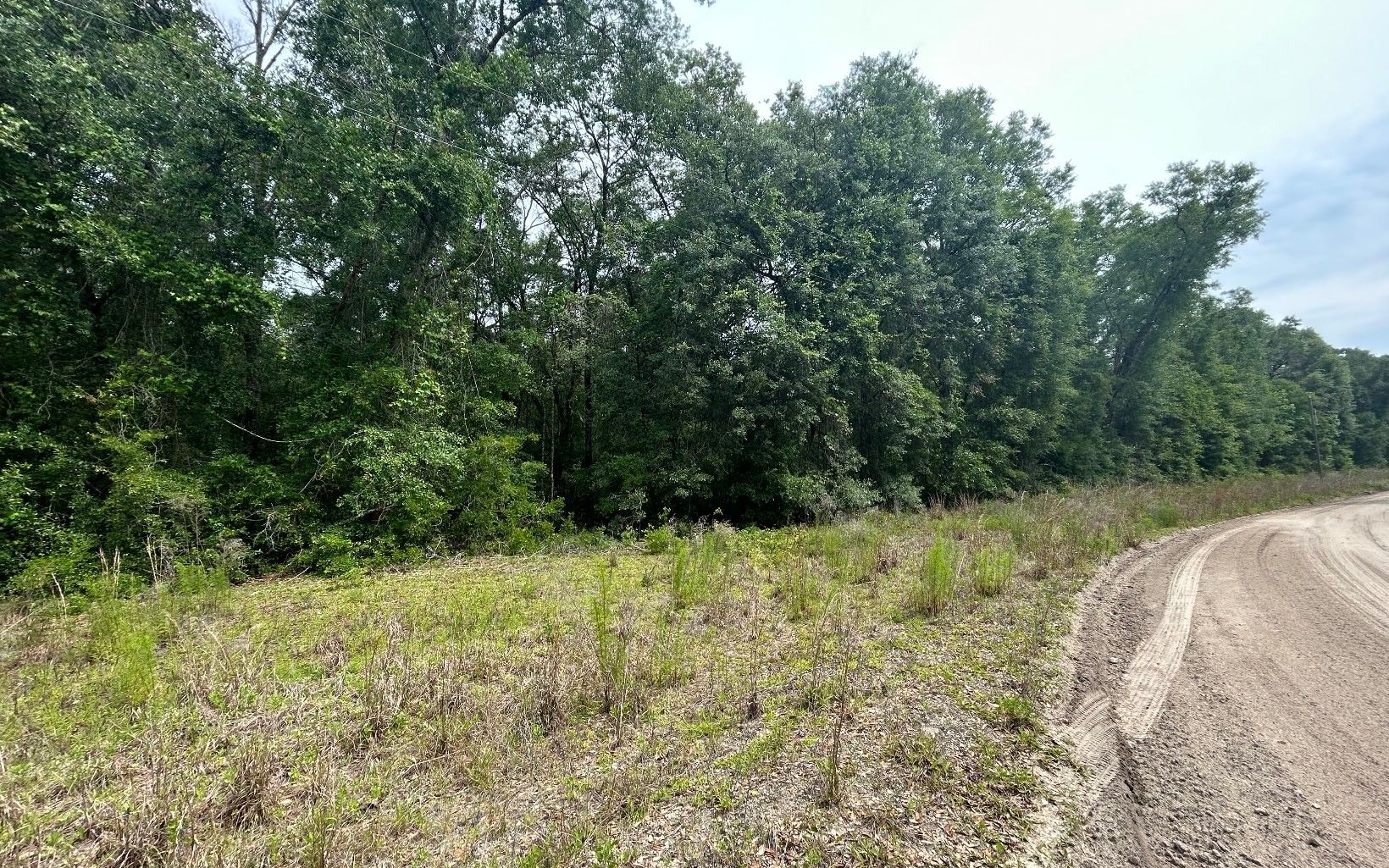 Live Oak, Suwannee County, FL Farms and Ranches for sale Property ID