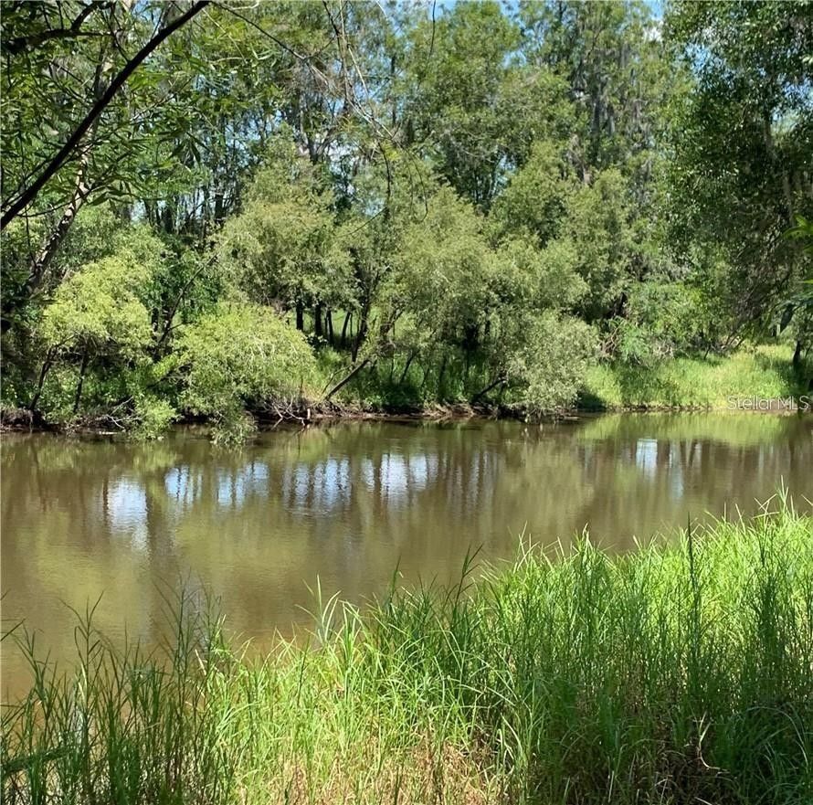 Arcadia, DeSoto County, FL Undeveloped Land, Lakefront Property