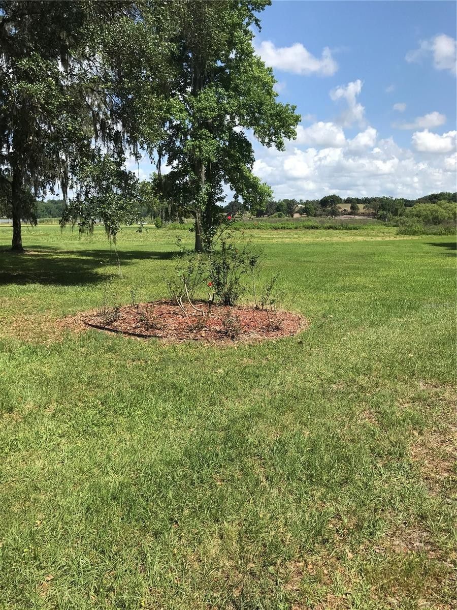 Dade City, Pasco County, FL Farms and Ranches, Lakefront Property