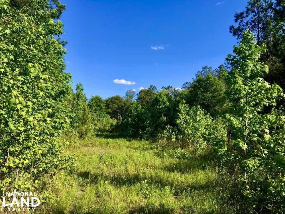 Frisco City, Monroe County, AL Recreational Property, Undeveloped Land