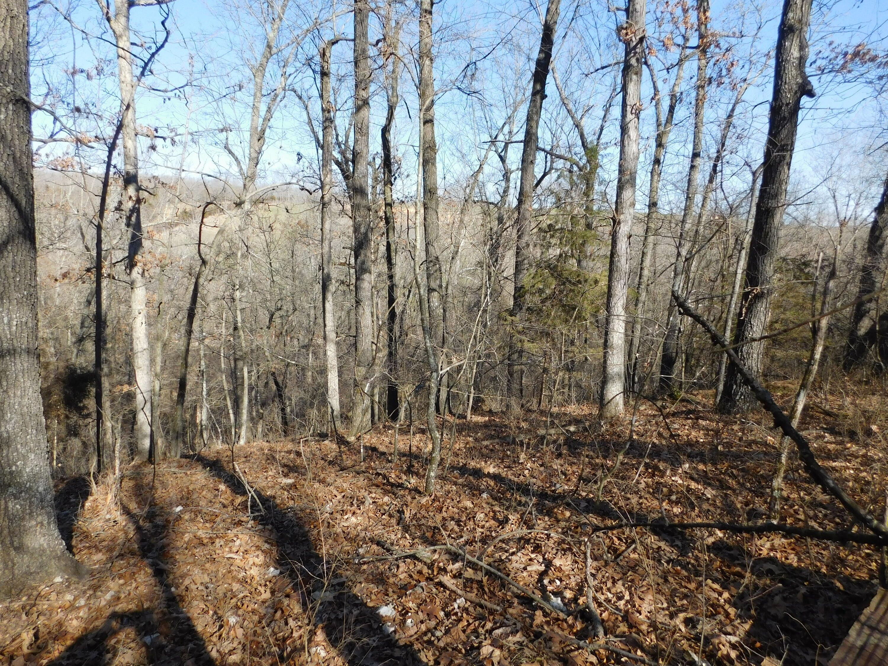 Bergman, Boone County, AR Farms and Ranches for sale Property ID