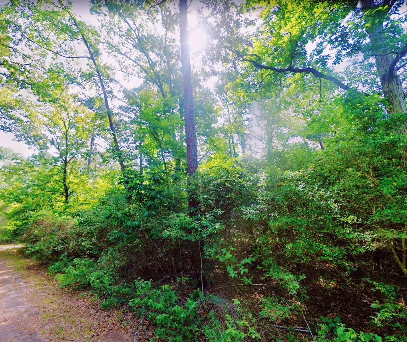 Livingston, Polk County, TX Recreational Property, Undeveloped Land