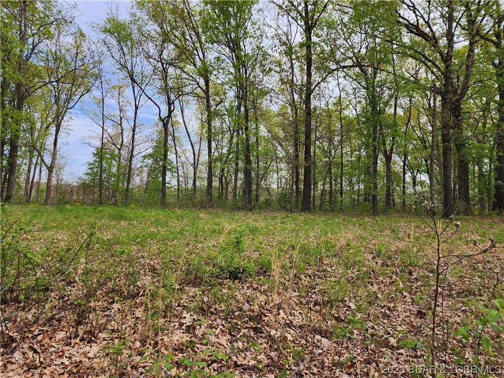 Stover, County, MO Farms and Ranches for sale Property ID