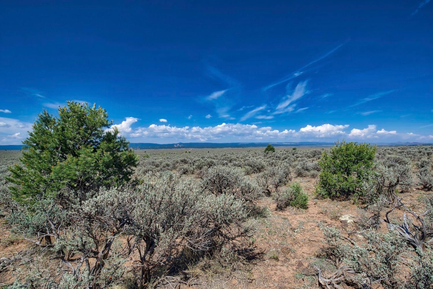 0.25 acres in Tres Piedras, NM, 87529 LandWatch