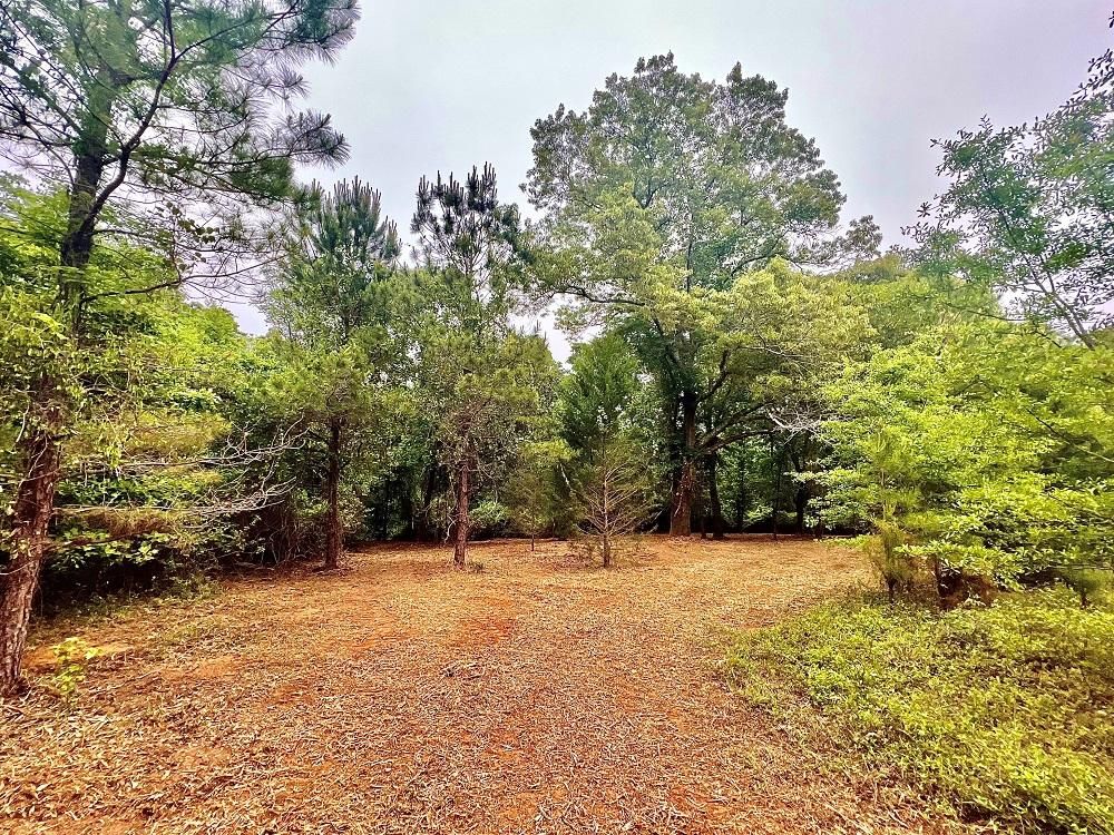 Oglethorpe, Macon County, GA Recreational Property, Undeveloped Land