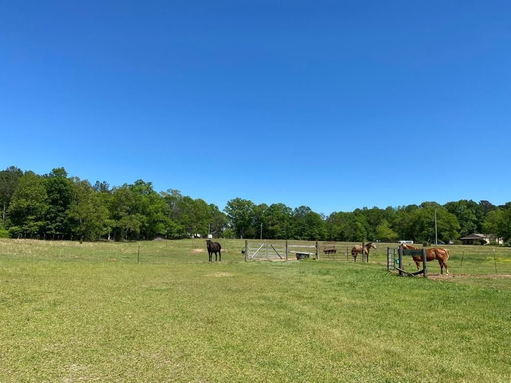 Cusseta, Lee County, AL Farms and Ranches for sale Property ID