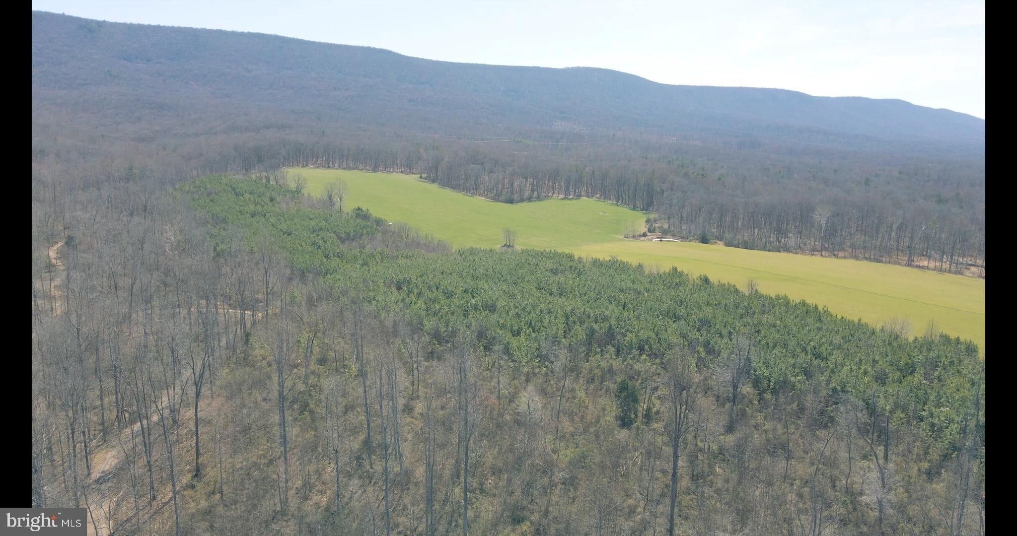 Edinburg, Shenandoah County, VA Undeveloped Land for sale Property ID