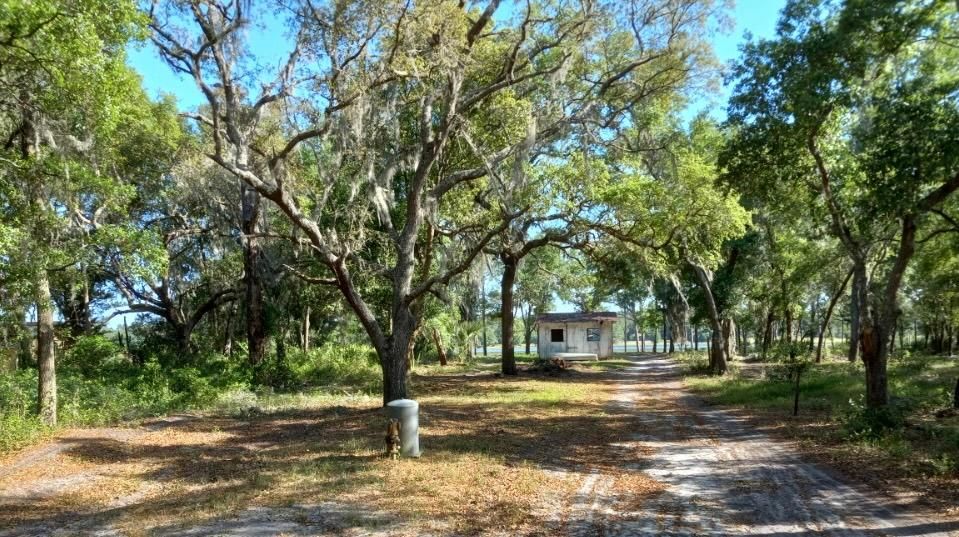 Melrose, Putnam County, FL Lakefront Property, Waterfront Property