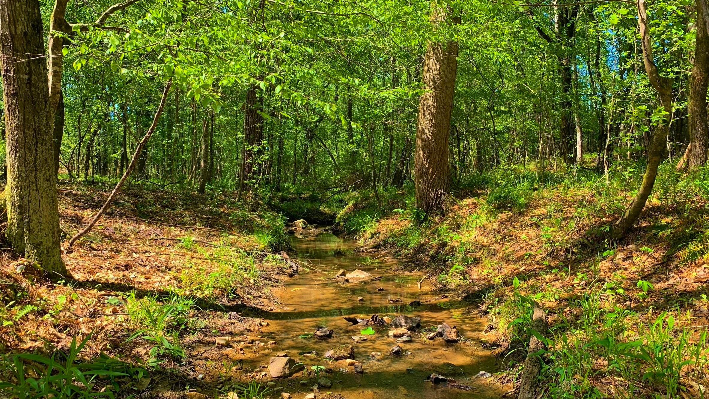 Crawfordville, Taliaferro County, GA Recreational Property, Timberland