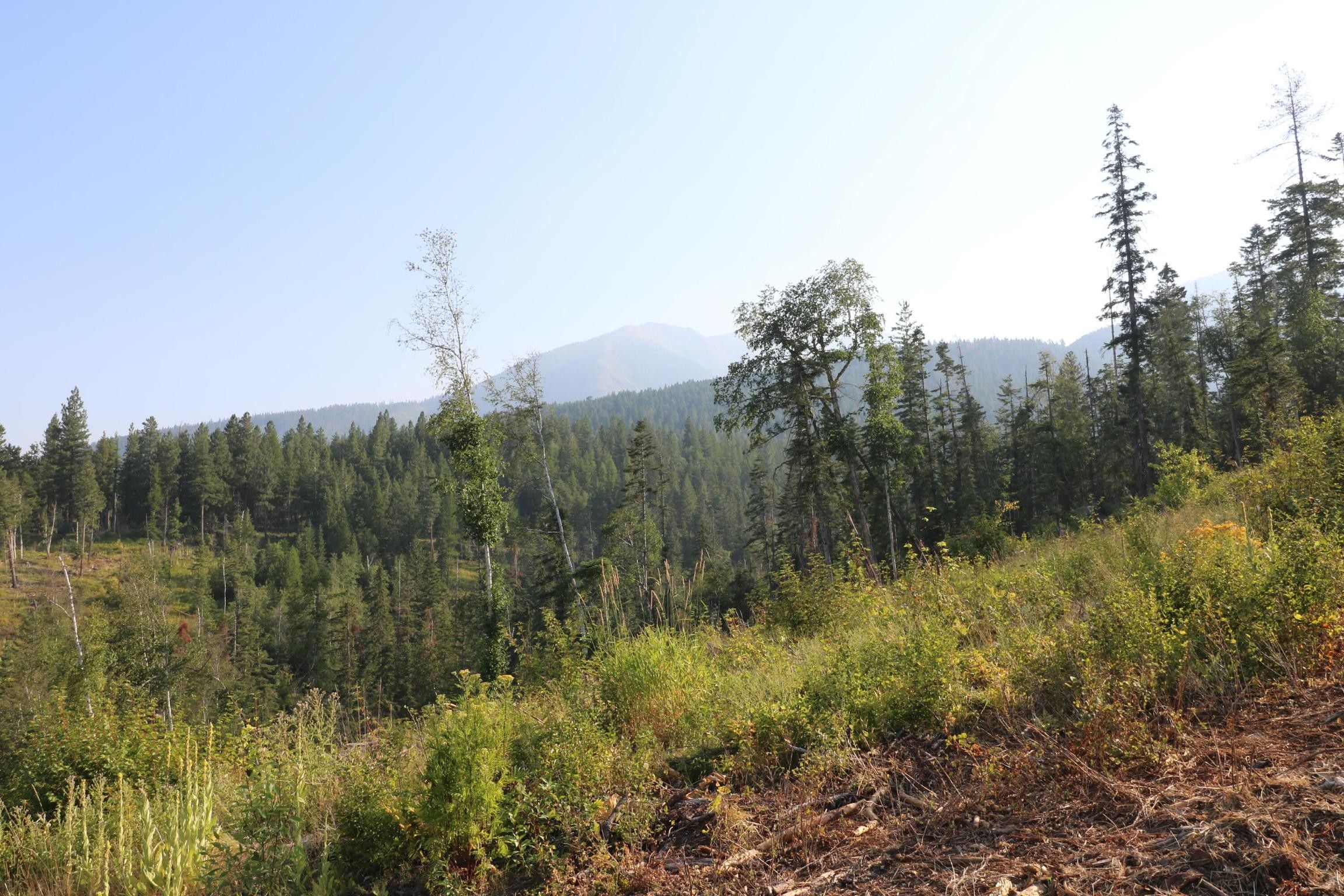 Bigfork, Lake County, MT Farms and Ranches, Lakefront Property