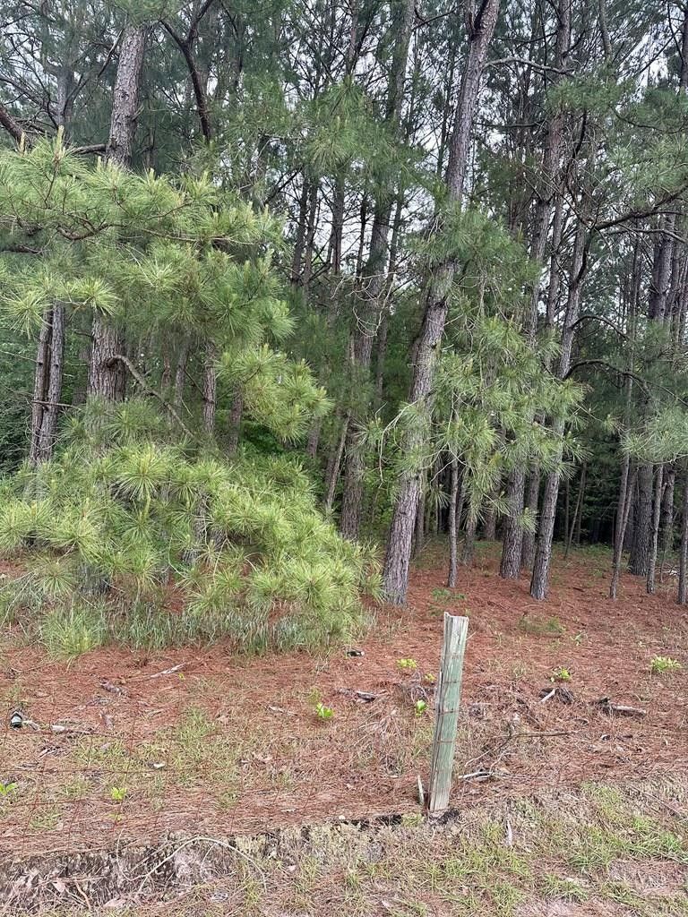 Manning, Clarendon County, SC Undeveloped Land, Homesites for sale