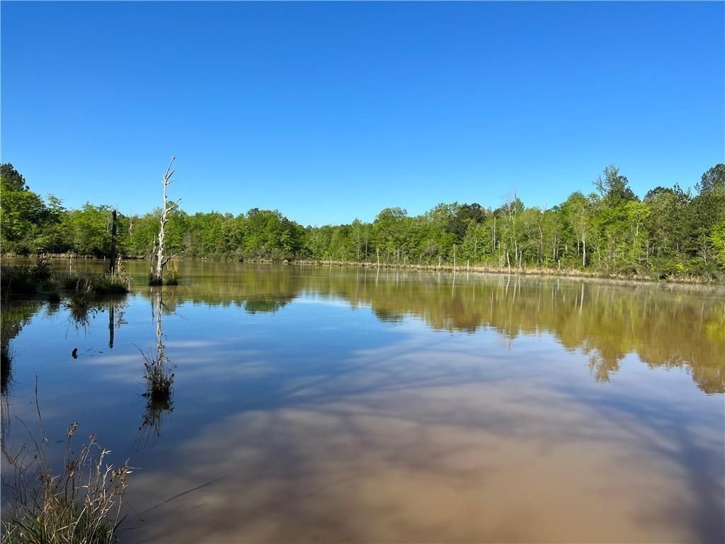 Stapleton, Jefferson County, GA Hunting Property, Riverfront Property
