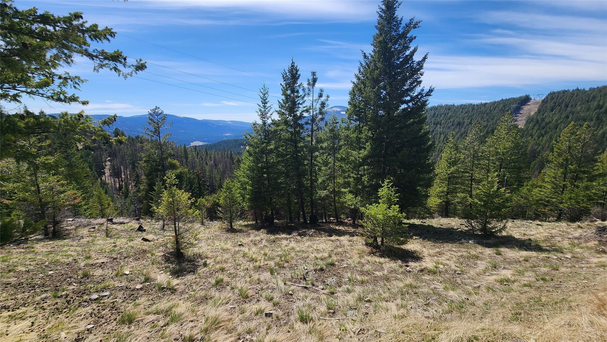 Kila, Flathead County, MT Undeveloped Land for sale Property ID