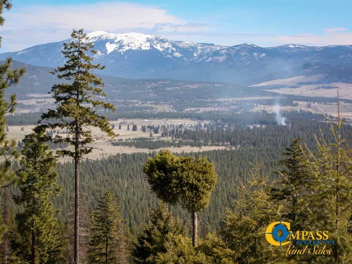 Plains, Sanders County, MT Recreational Property, Timberland Property, Hunting Property for sale