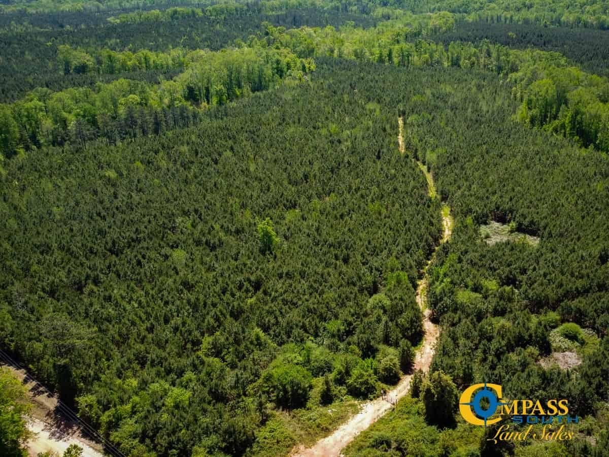 Glenn, Heard County, GA Recreational Property, Timberland Property