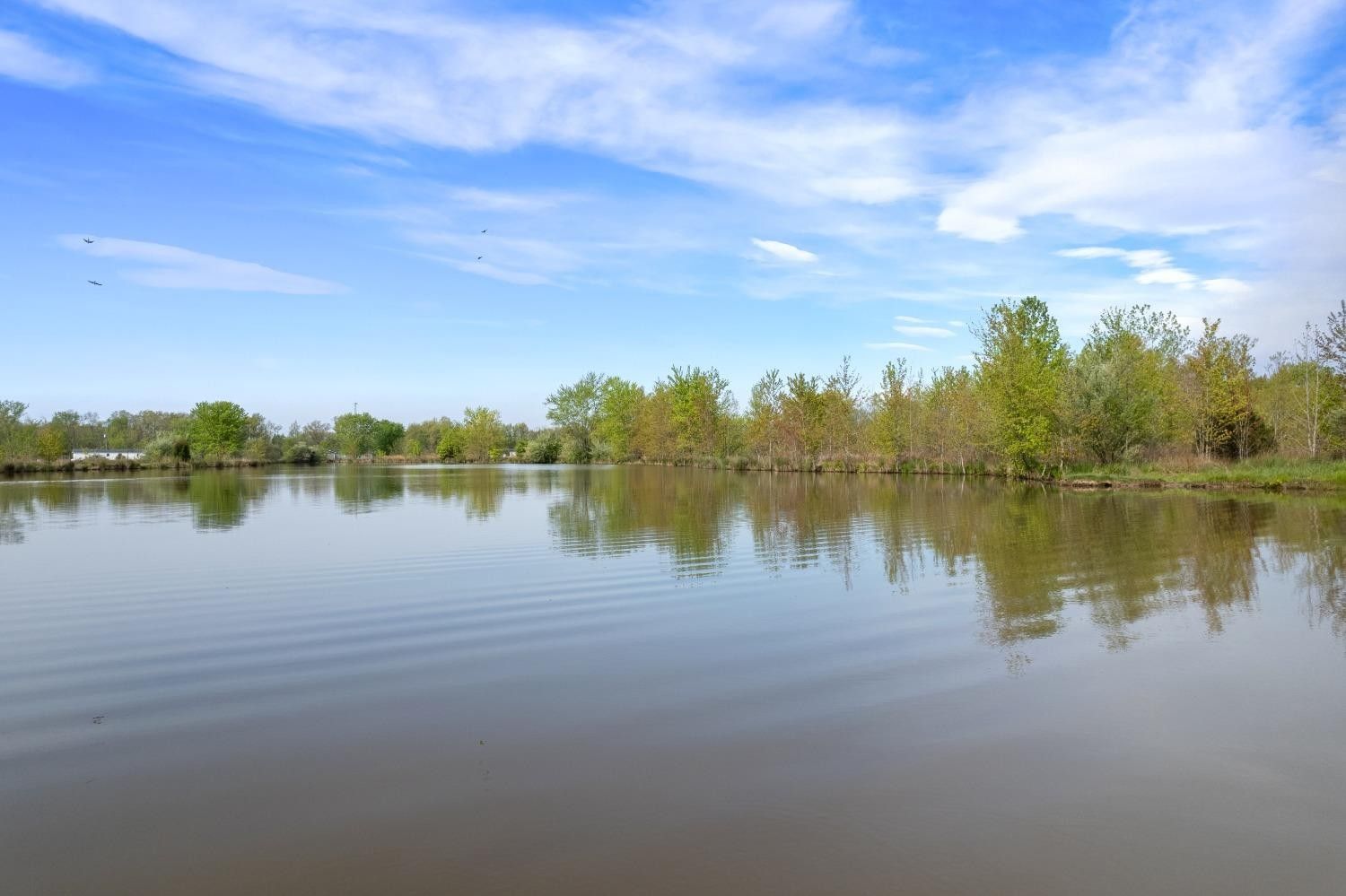 Bardwell, Brown County, OH Farms and Ranches for sale Property ID