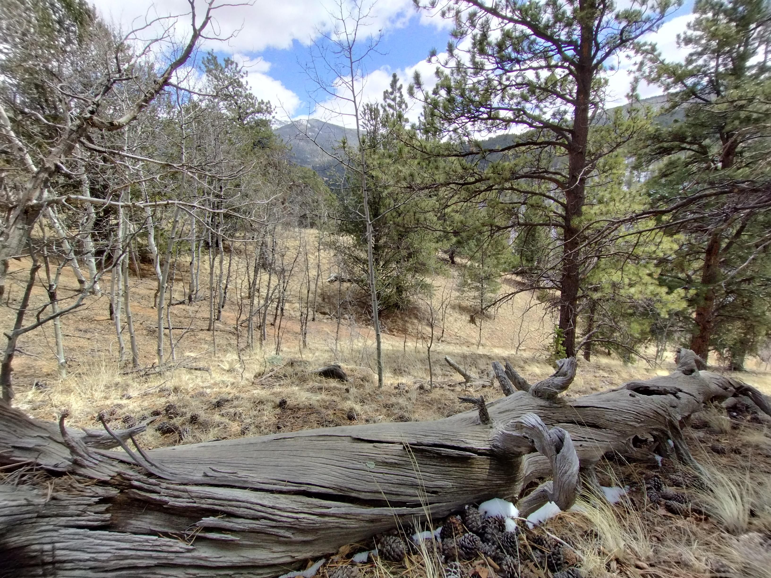 Divide, Teller County, CO Recreational Property, Undeveloped Land