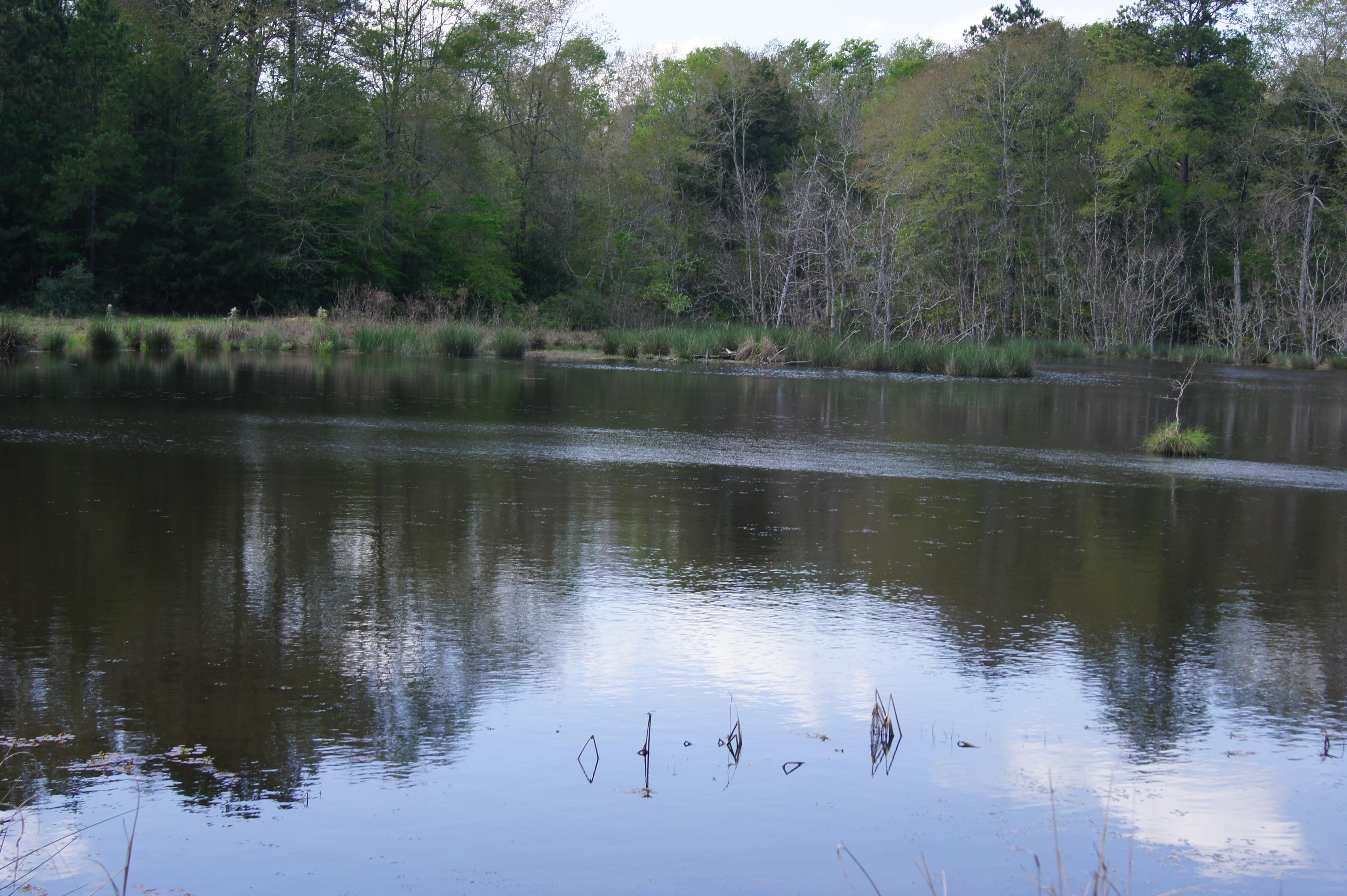 Joaquin, Shelby County, TX Recreational Property, Hunting Property for