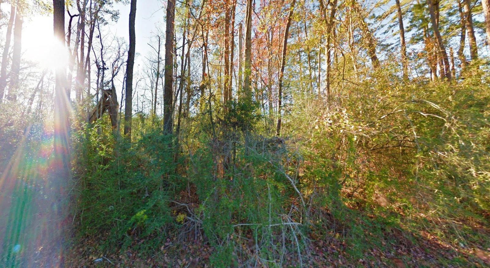 Vidor, Orange County, TX Recreational Property, Undeveloped Land