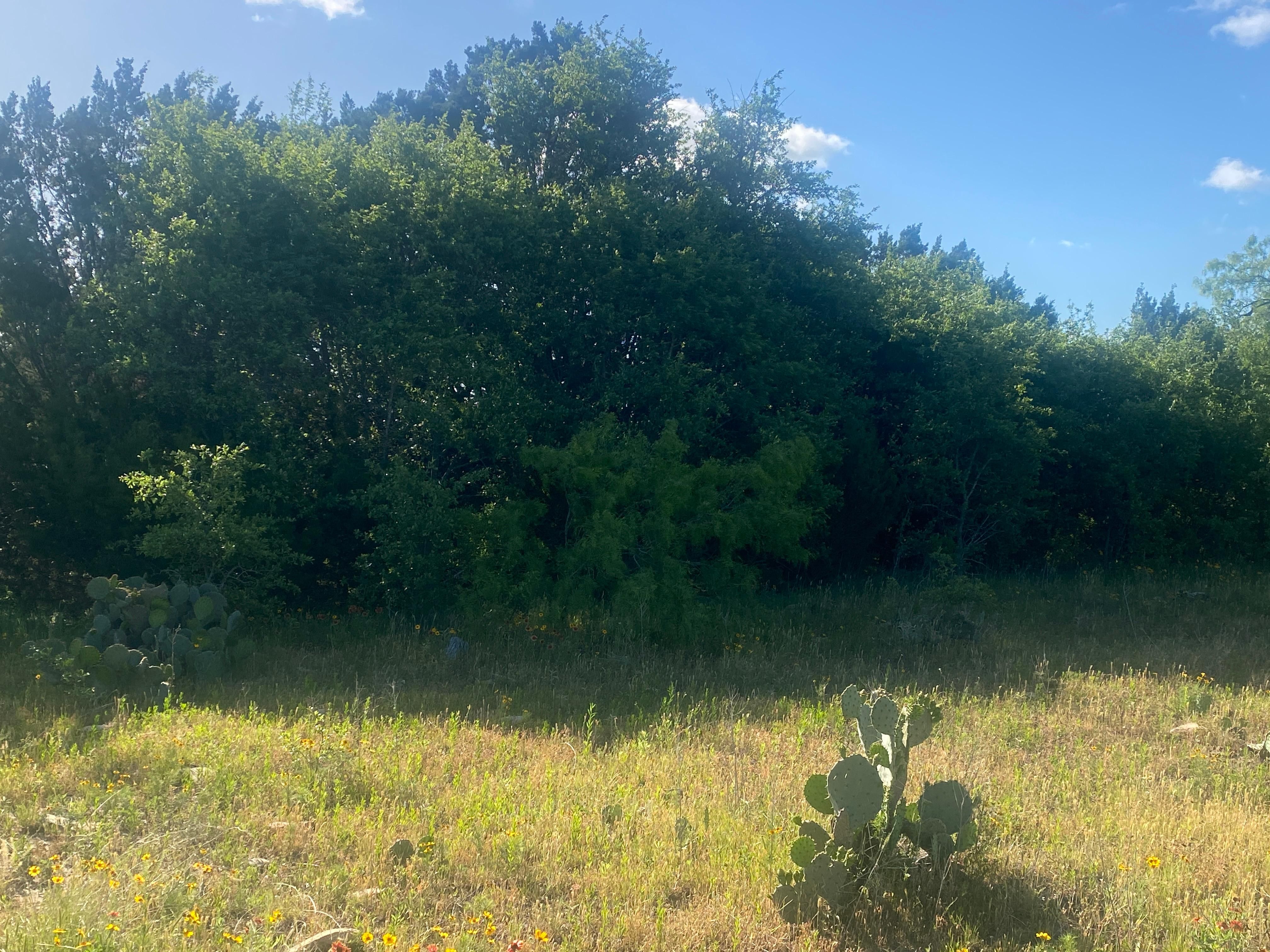 Santa Anna, Coleman County, TX Farms and Ranches, Recreational Property