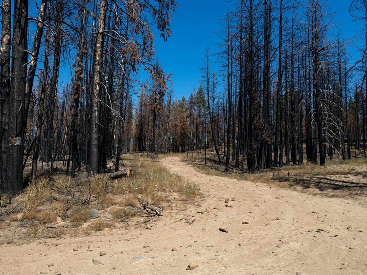 Bly, Klamath County, OR Recreational Property for sale Property ID