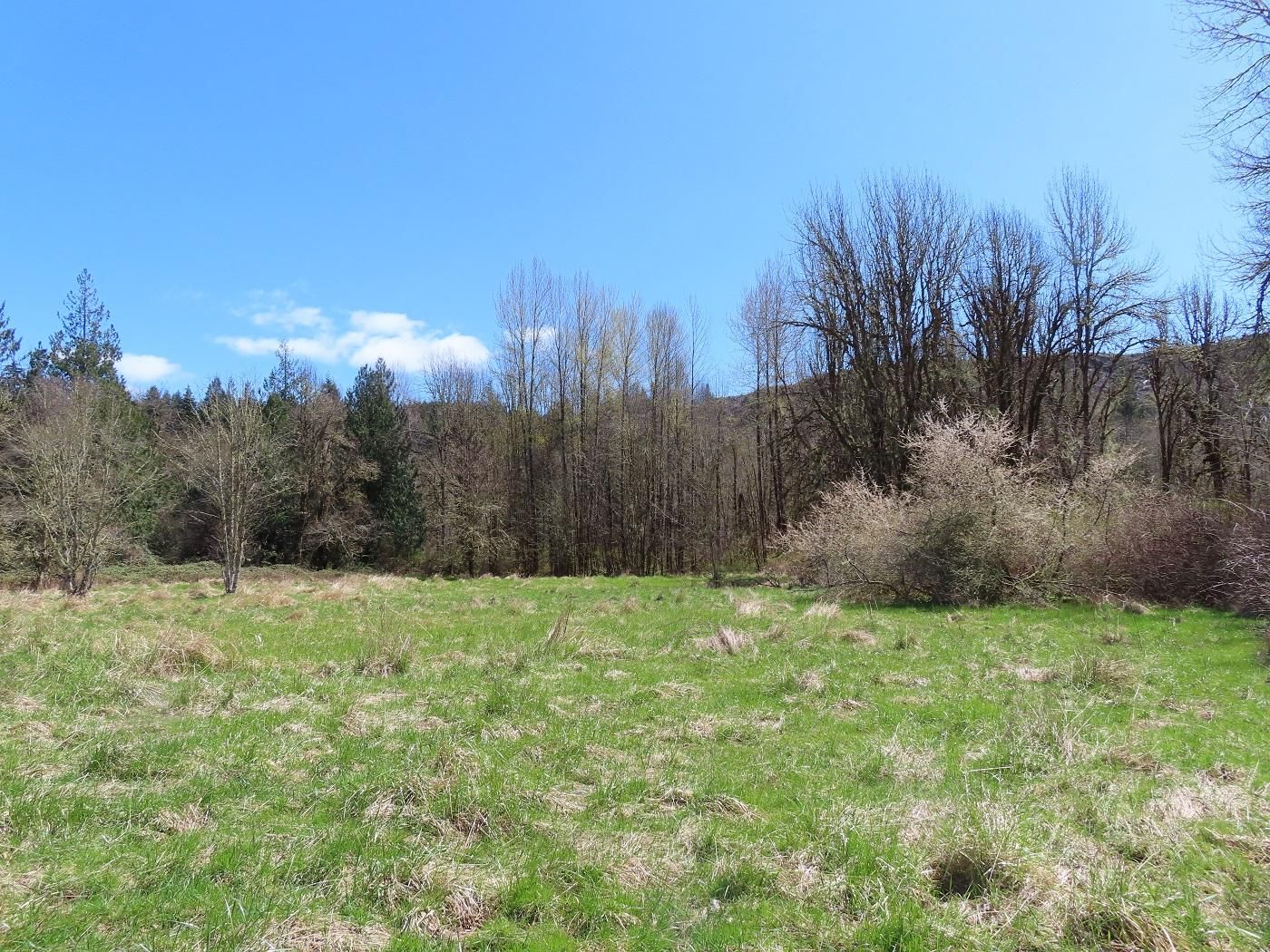 Morton, Lewis County, WA Recreational Property for sale Property ID