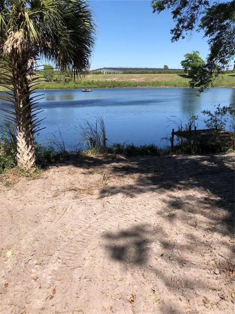 Mount Dora, Orange County, FL Farms and Ranches, Lakefront Property