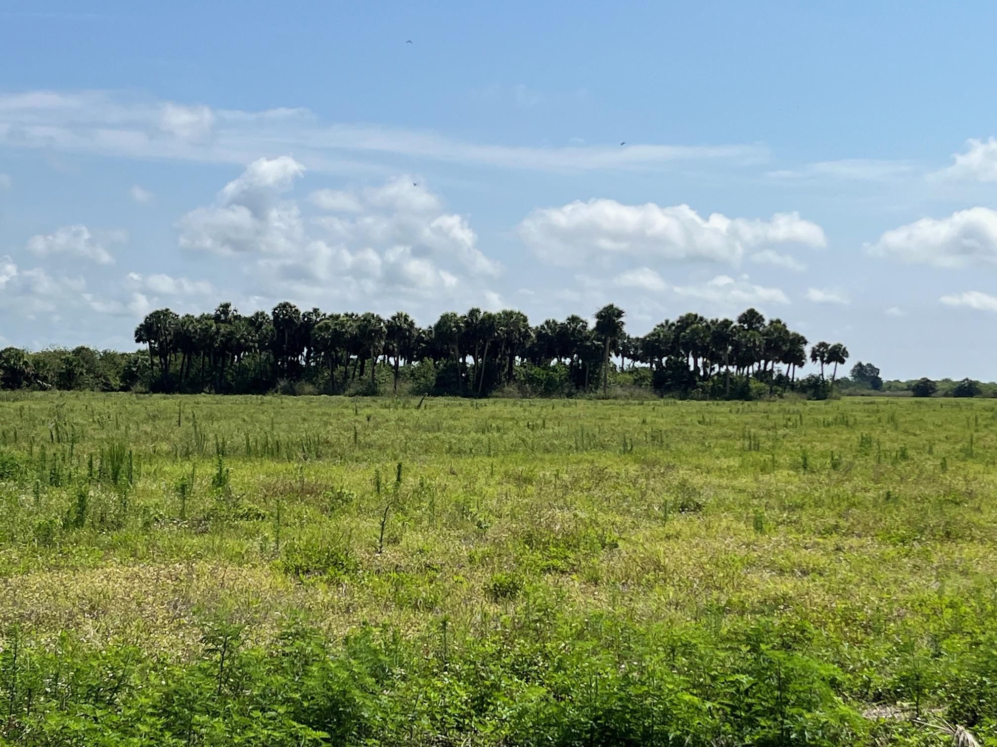 Okeechobee, Glades County, FL Farms and Ranches, Commercial Property