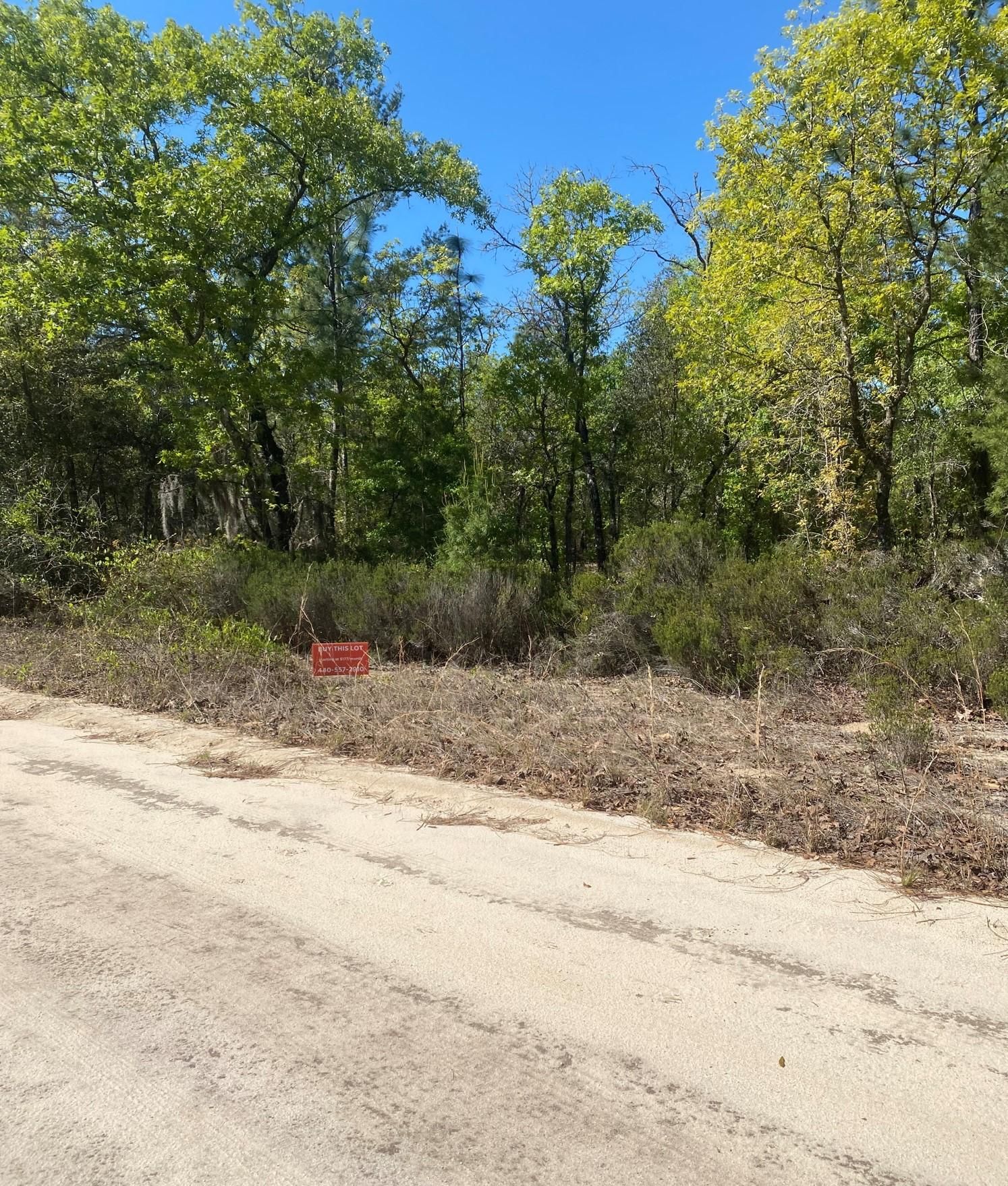 Faye St, Jacksonville, FL 32148 LandWatch