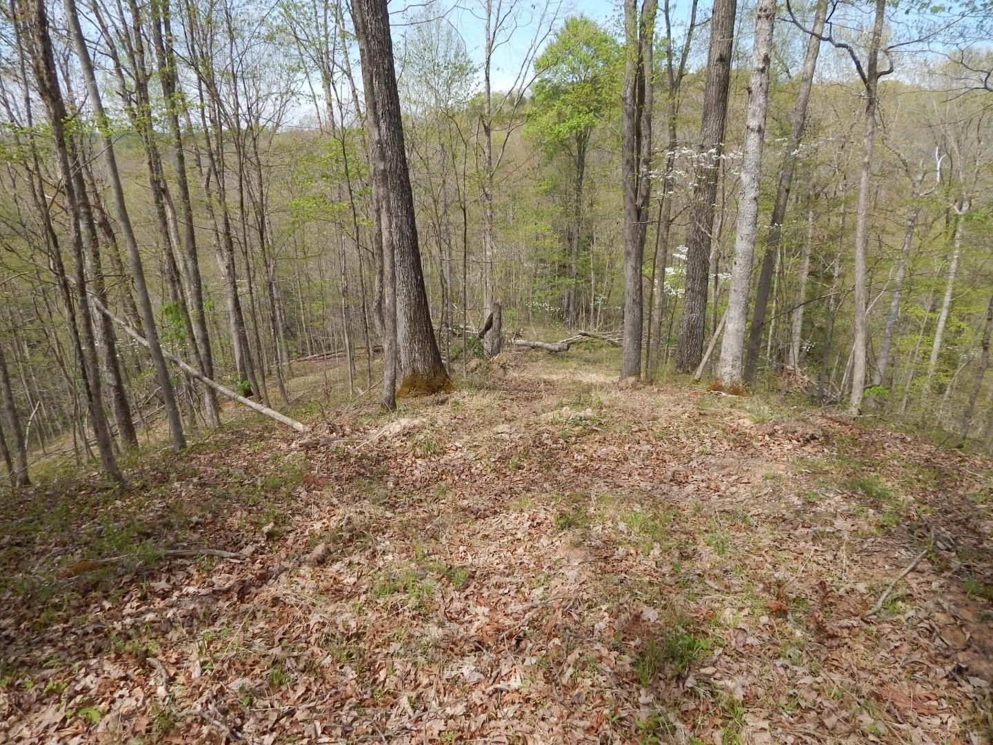 Harrisville, Ritchie County, WV Recreational Property, Undeveloped Land