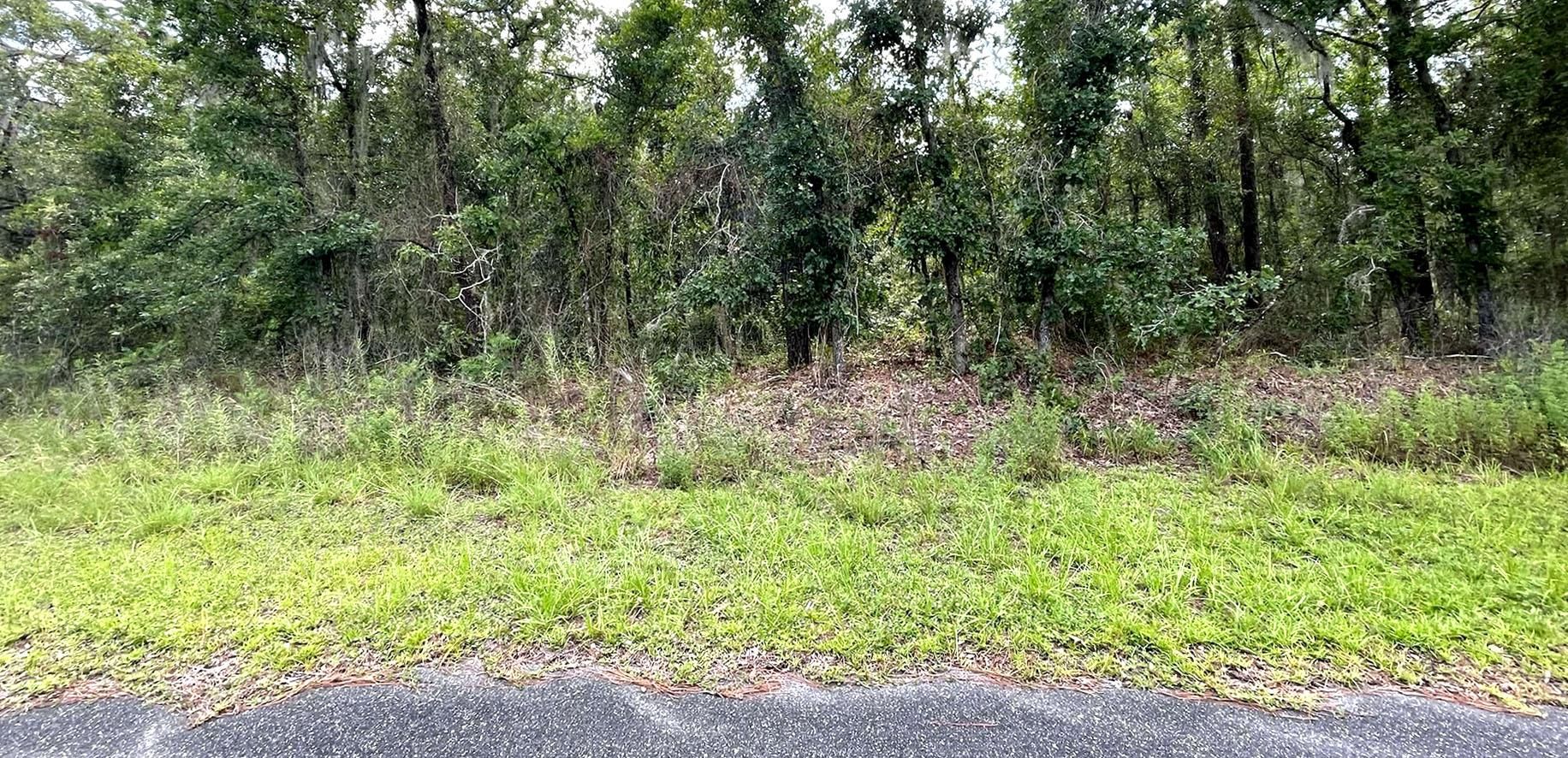 Dunnellon, Levy County, FL Recreational Property, Undeveloped Land
