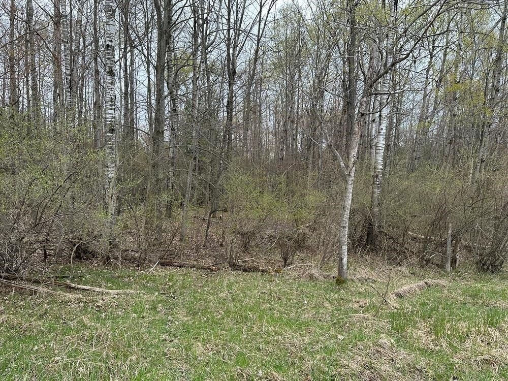 Harrison, Clare County, MI Farms and Ranches for sale Property ID