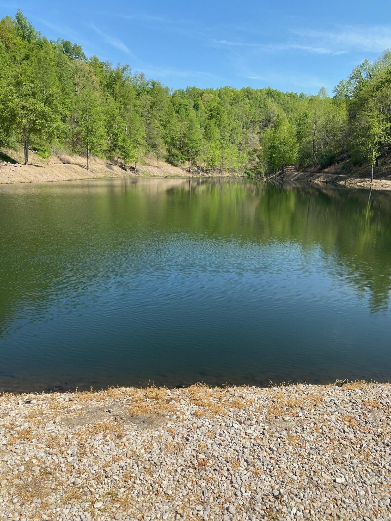 Elkfork, County, KY Lakefront Property, Waterfront Property