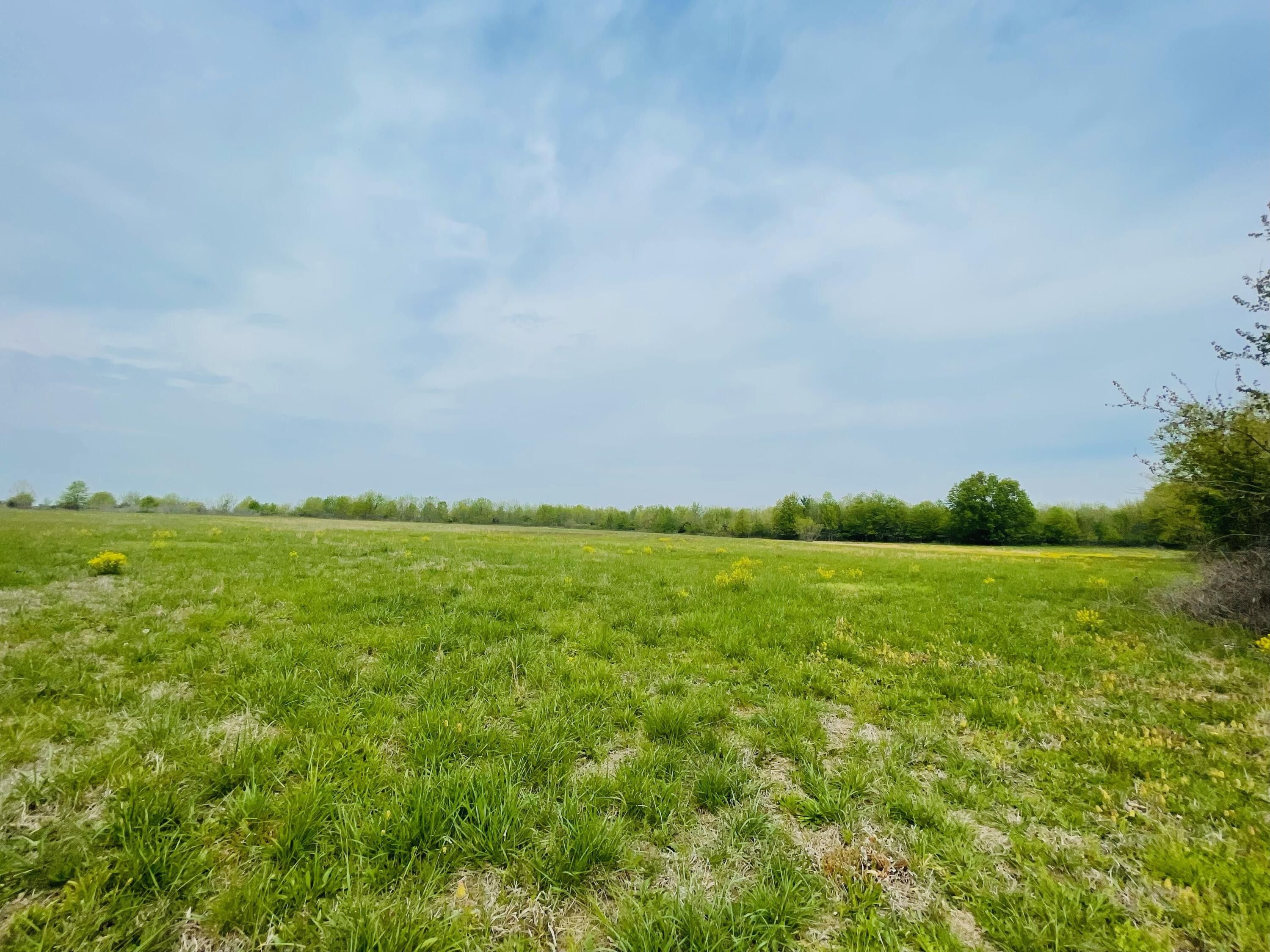 Moundville, Vernon County, MO Undeveloped Land for sale Property ID