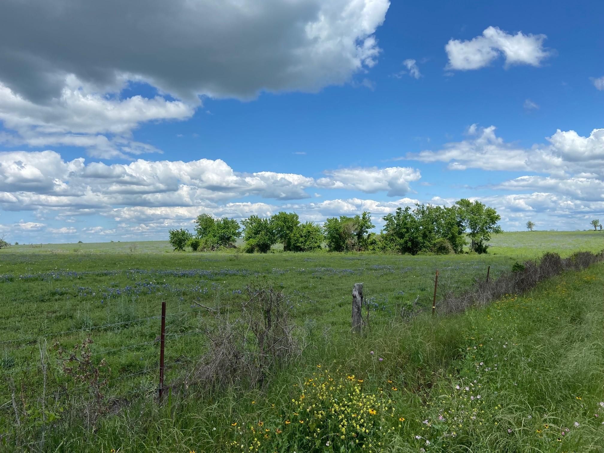 Brenham, Washington County, TX Farms and Ranches, Recreational Property