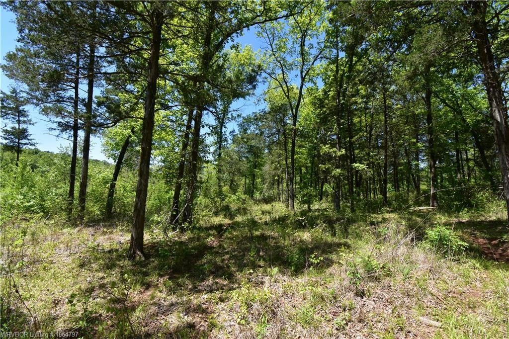 Booneville, Logan County, AR Farms and Ranches for sale Property ID