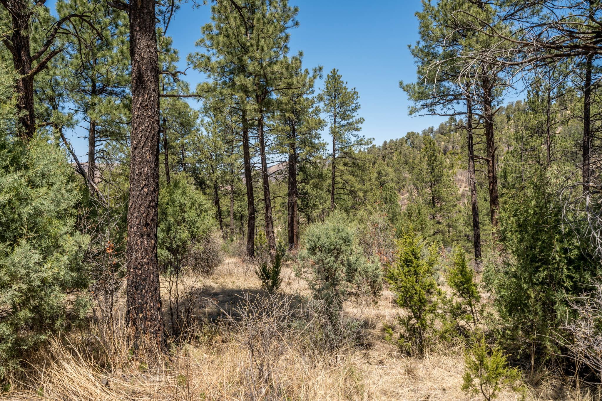 Ruidoso Downs, Lincoln County, NM Farms and Ranches, Undeveloped Land