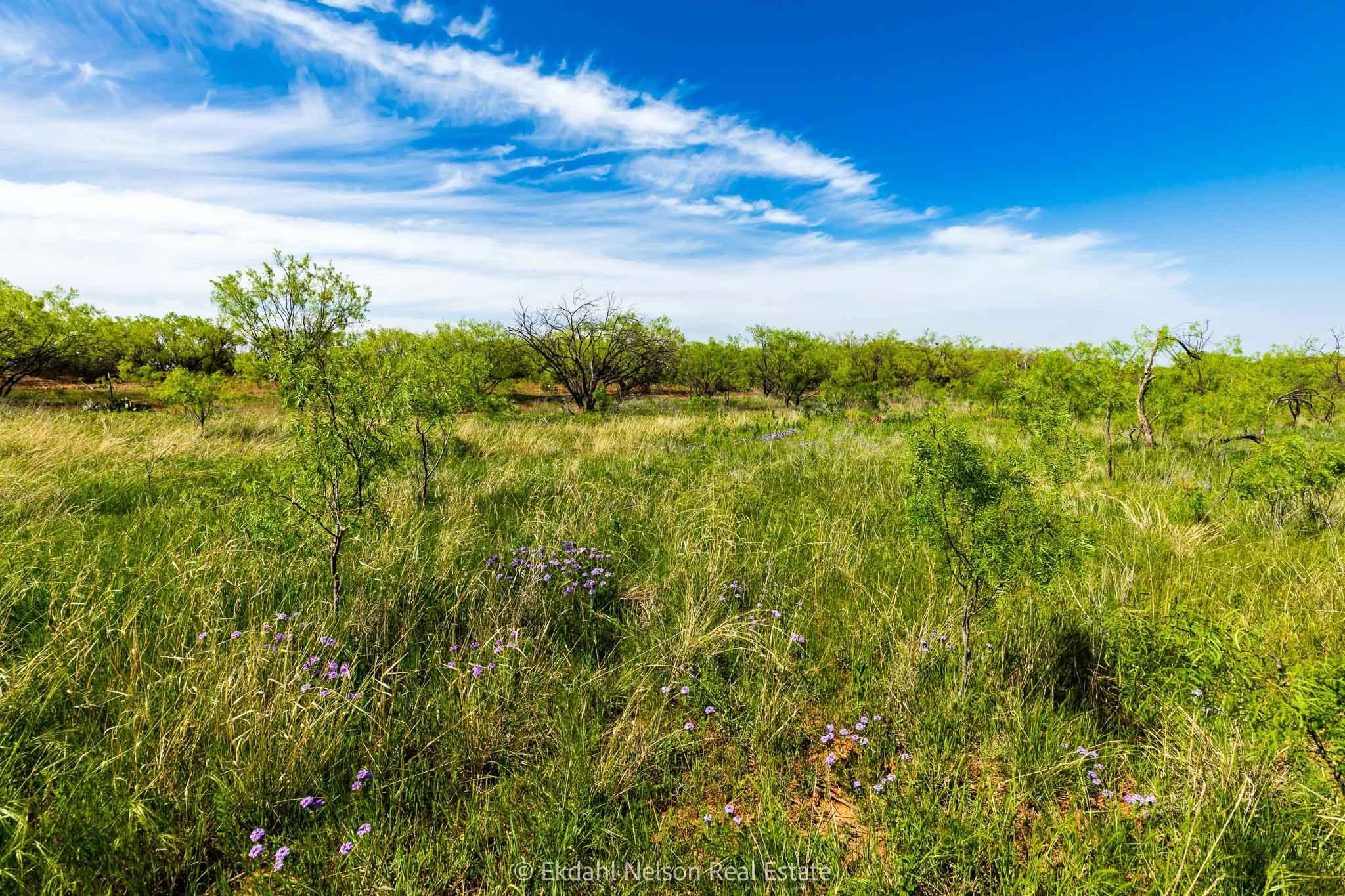 Abilene, Taylor County, TX Farms and Ranches, Recreational Property