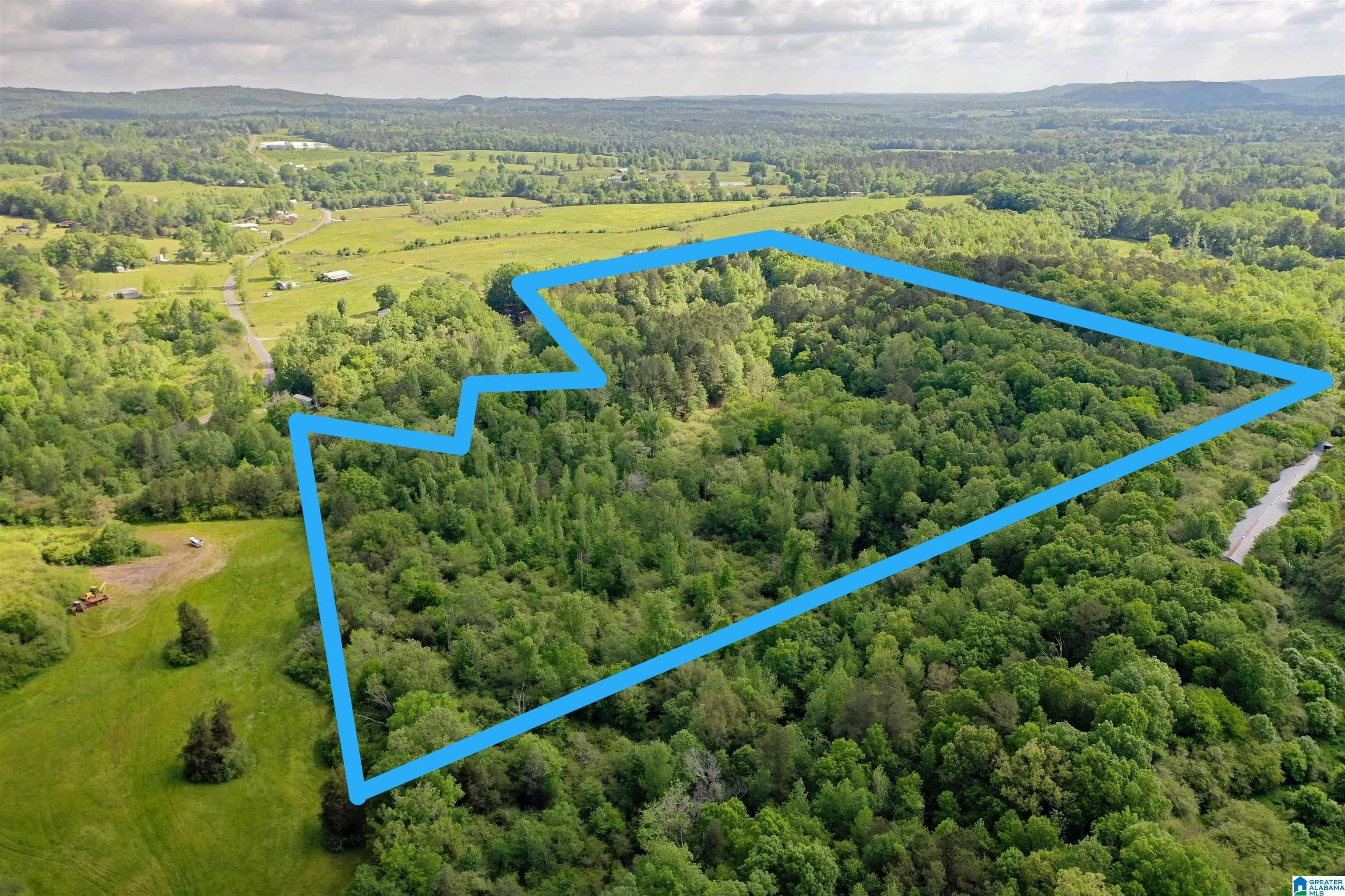 Hayden, Blount County, AL Farms and Ranches for sale Property ID